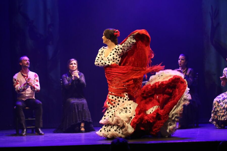 Malaga: Teatro Flamenco Malaga Live Flamenco Show - Who this show suits best (and who may want to rethink it)
