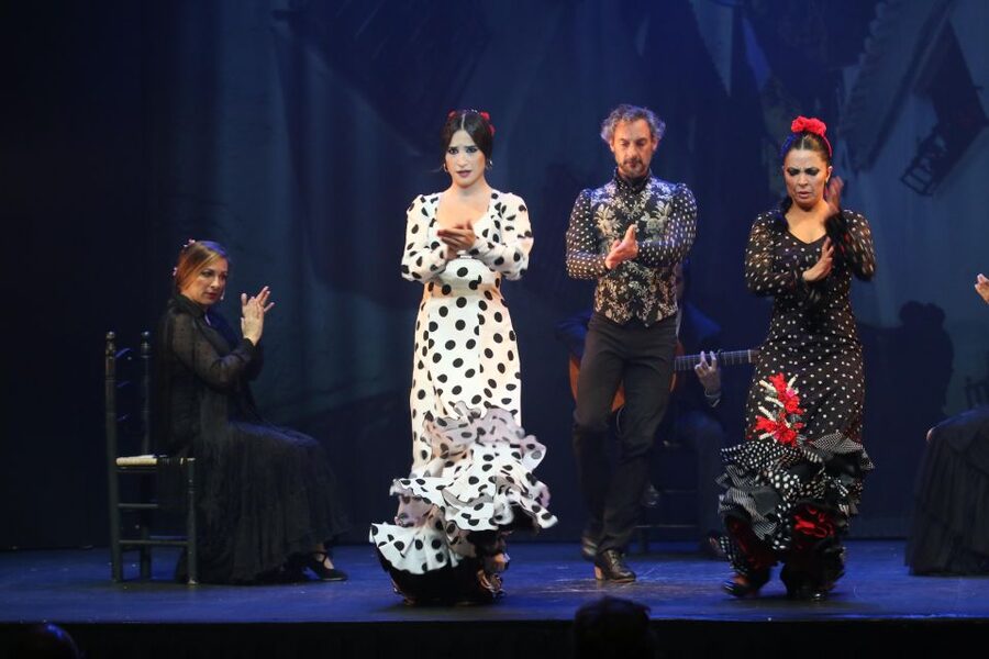 Malaga: Teatro Flamenco Malaga Live Flamenco Show - Should you book Teatro Flamenco Malaga?