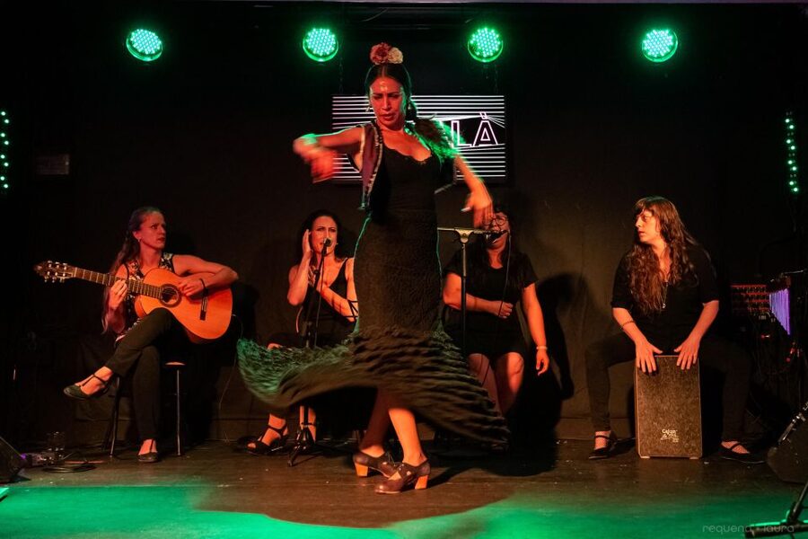Valencia: Authentic Flamenco Show Entry Ticket - A 60-Minute Flamenco Night in Valencia’s Ca Revolta