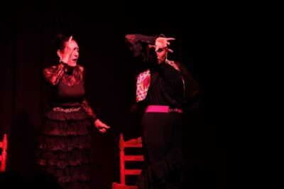 Valencia: Authentic Flamenco Show Entry Ticket - Inside the Small Theatre: Seats, Sightlines, and the Crowd Rhythm