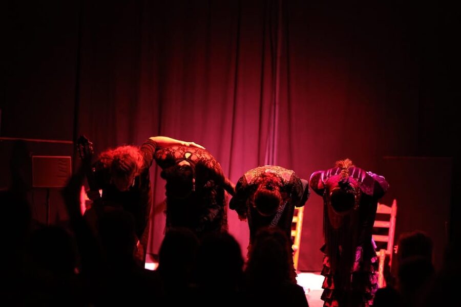 Valencia: Authentic Flamenco Show Entry Ticket - Price and Value: Why This $23 Ticket Works as a Plan