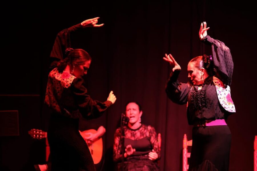 Valencia: Authentic Flamenco Show Entry Ticket - Should You Book This Valencia Flamenco Show?