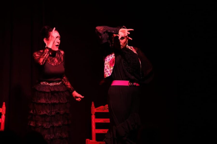 Valencia: Authentic Flamenco Show Entry Ticket - Inside the Small Theatre: Seats, Sightlines, and the Crowd Rhythm